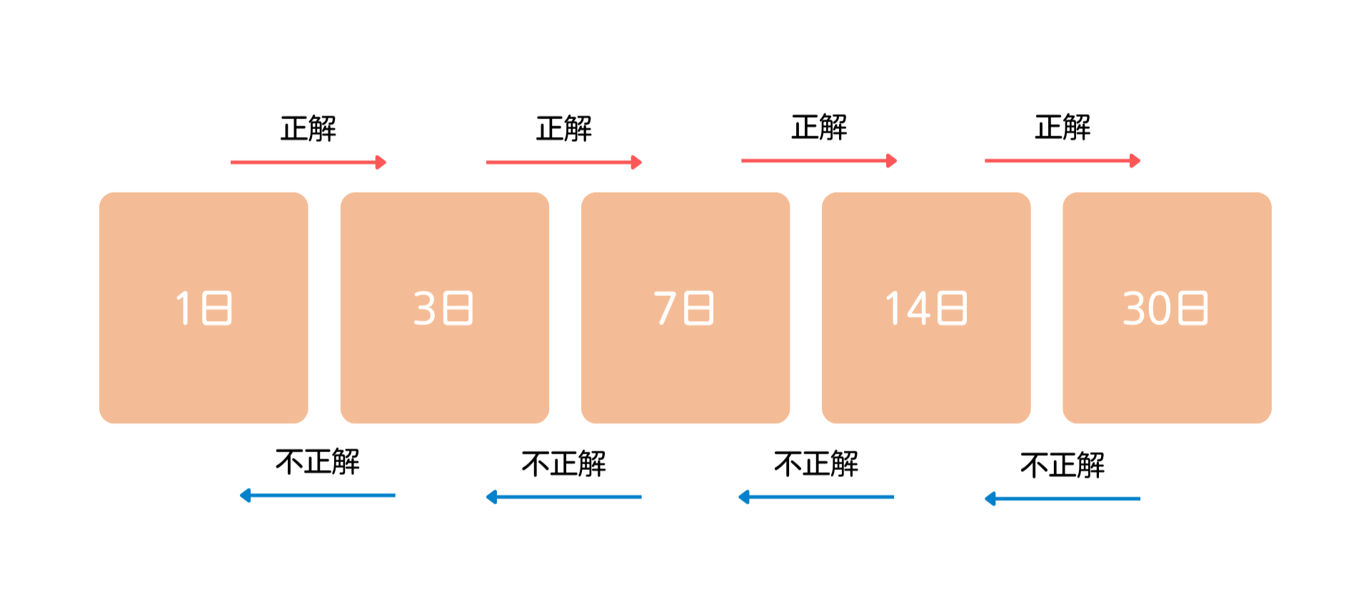 反復学習のスケジュールの仕組み
