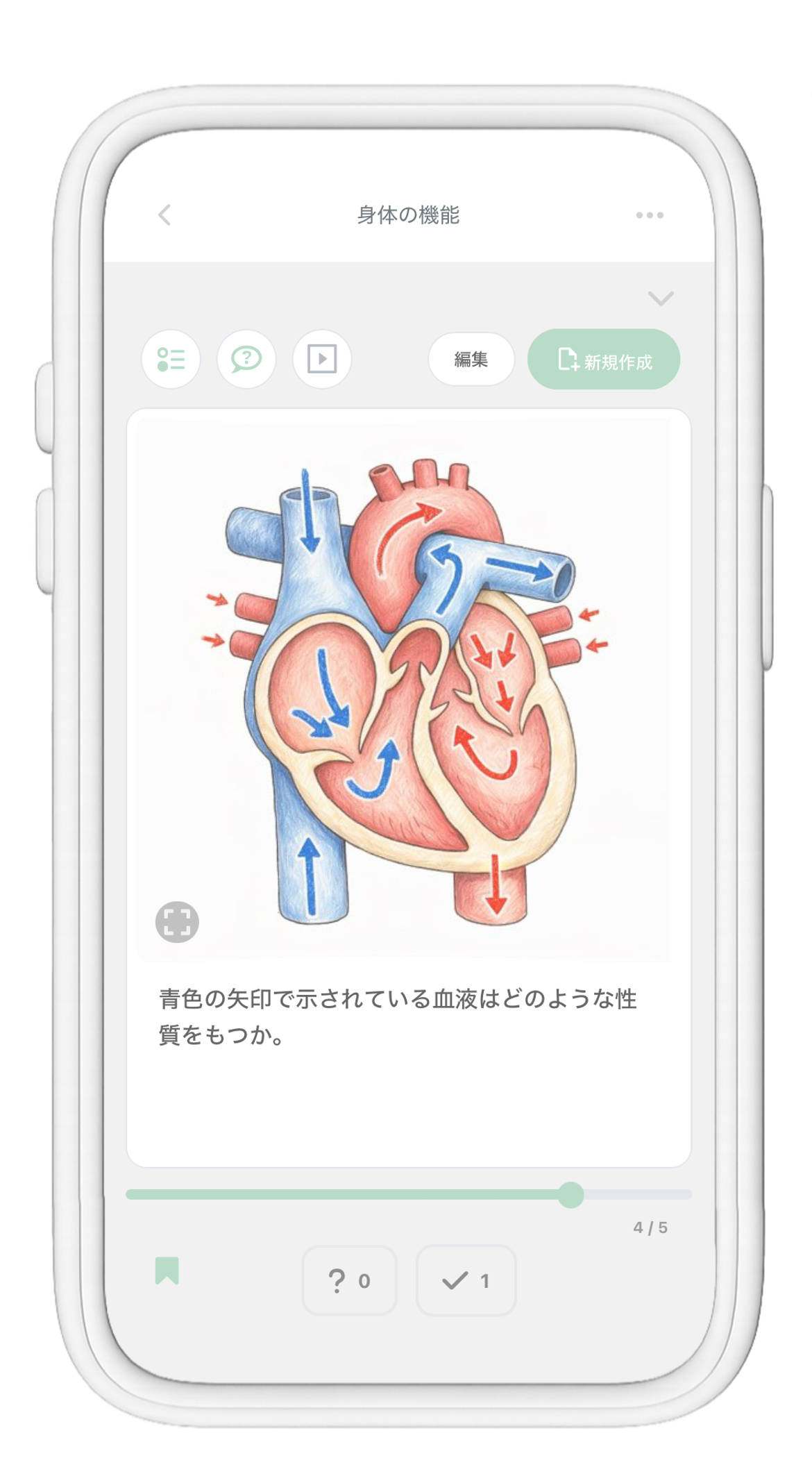anqieの学習カード画面。心臓の図を表示した問題面のカード。